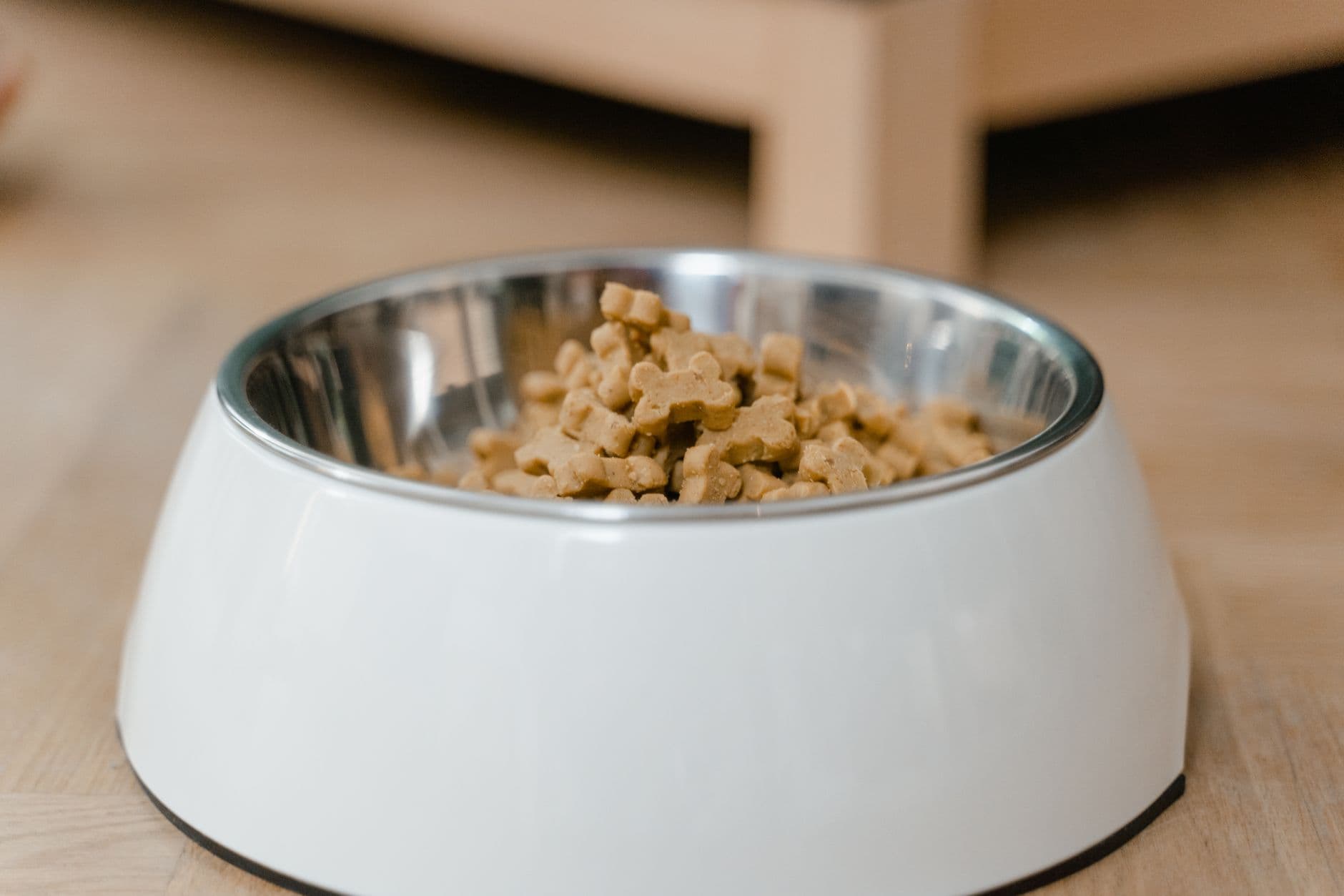 Edelstahlnapf mit Trockenfutter auf einem Holzboden